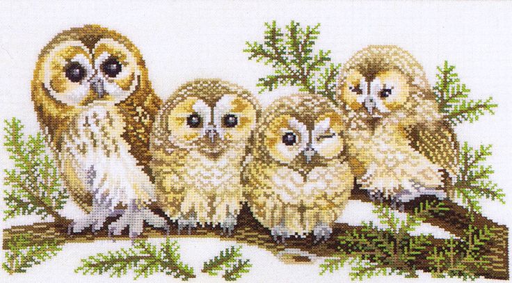 owl cross stitch