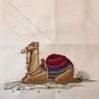 ‎Cross Stitch “Nativity: The Camel” by Serendipity Designs