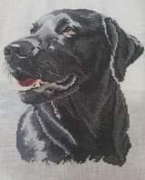Chester by Pauline Gledhill stitched on 28ct cashel linen